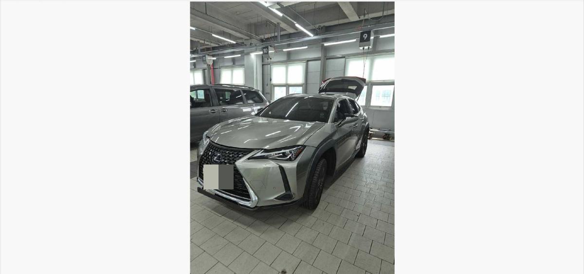 Lexus UX250h