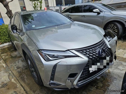 Lexus UX250h 2020