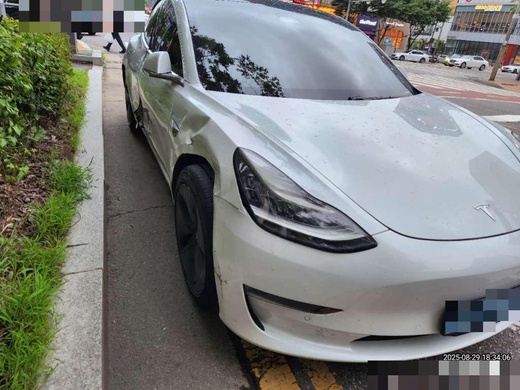 Tesla Model 3 2020