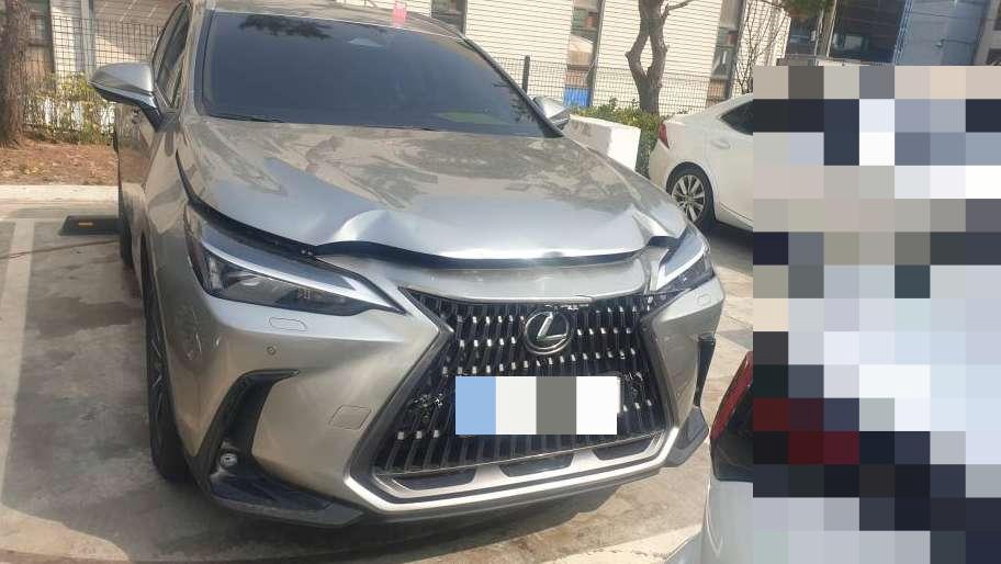 Lexus NX450h+