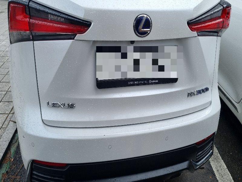 Lexus NX300h