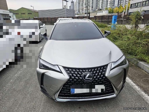 Lexus UX250h 2024