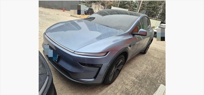 Tesla Model Y 2025