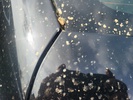 Фото 24
