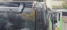 Фото 14