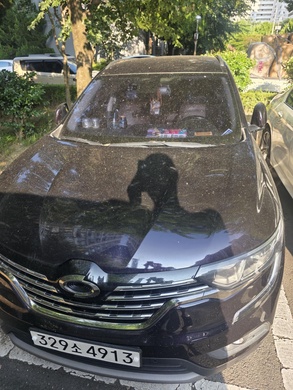 Renault Samsung QM6 2019