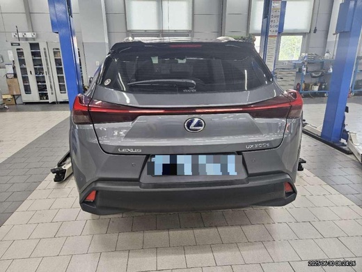 Lexus UX300e 2022