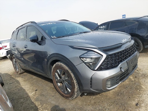 Kia Sportage 2025