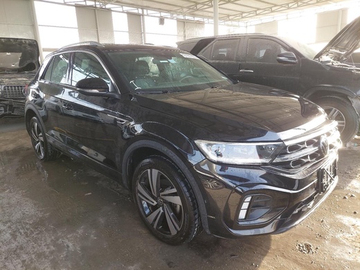 Volkswagen T-Roc 2024