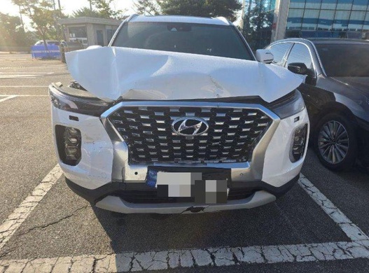 Hyundai Palisade 2021