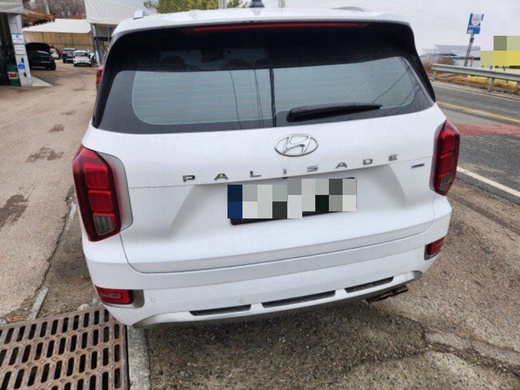 Hyundai Palisade 2021