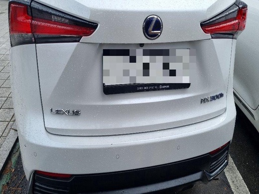 Lexus NX300h 2019