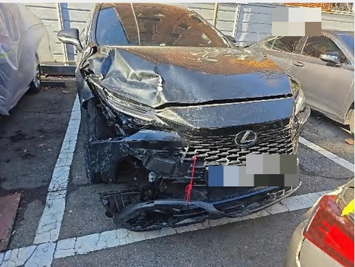 Lexus RX450h+ 2024