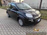 Fiat Panda 2023