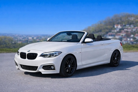 BMW 2 Series 2019