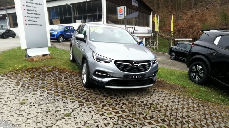 Opel Other