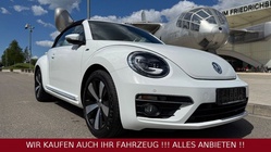 Volkswagen Beetle 2014
