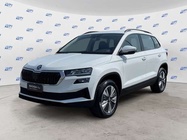 Skoda Karoq 2024