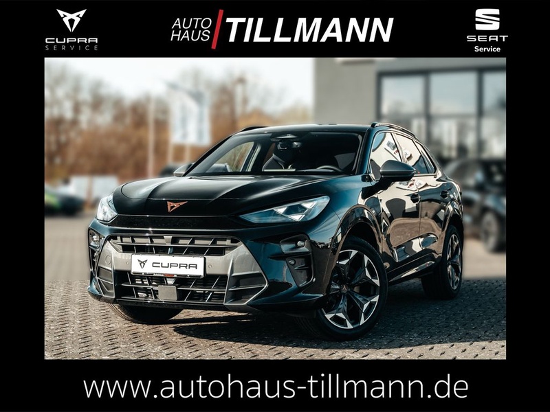 Cupra Terramar