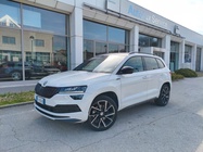 Skoda Karoq 2019