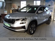 Skoda Karoq 2025