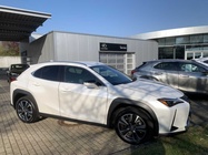 Lexus UX 2023