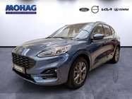 Ford Kuga 2022
