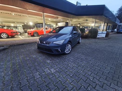 Seat Ibiza 2025