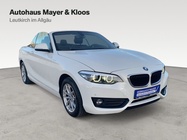BMW 2 Series 2019