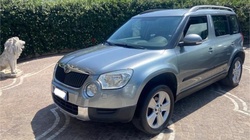 Skoda Yeti 2010