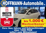 Volkswagen Polo 2025