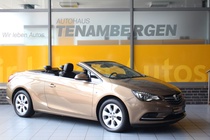 Opel Cascada 2013