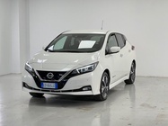 Nissan Leaf 2020