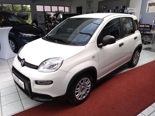 Fiat Panda 2024
