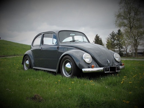 Volkswagen Kafer 1968