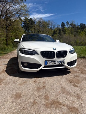 BMW 2 Series 2019