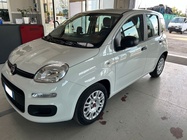 Fiat Panda 2019