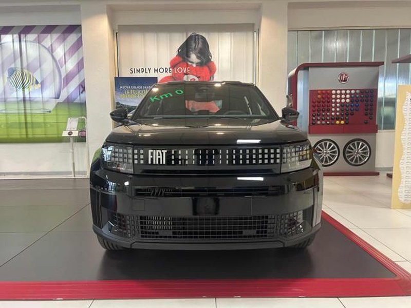 Fiat Other