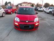 Fiat Panda 2021