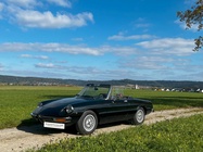 Alfa Romeo Spider 1981