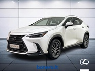 Lexus Other 2023