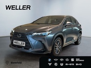 Lexus NX 2024