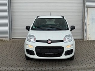 Fiat Panda 2021