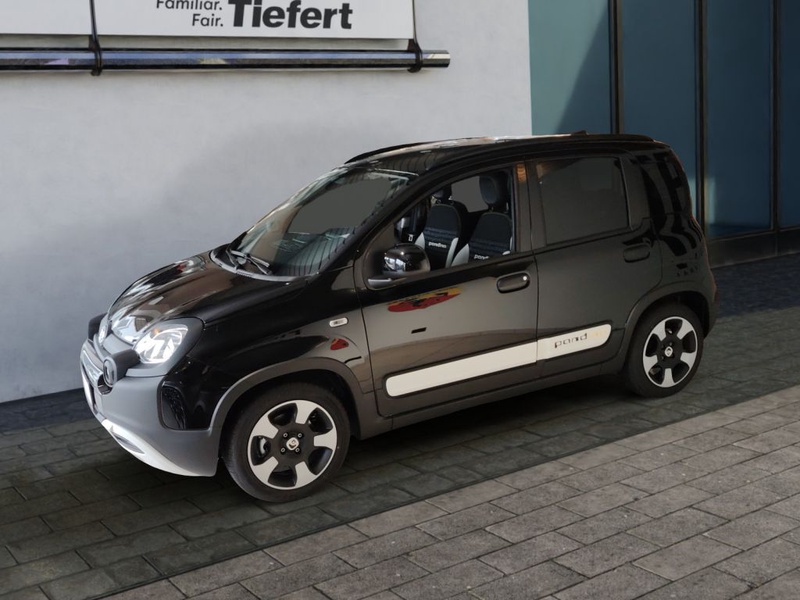 Fiat Other