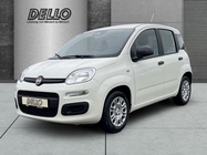 Fiat Panda 2025