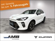 Cupra Terramar 2025
