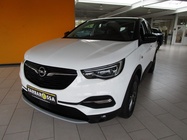 Opel Grandland 2021