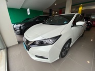 Nissan Leaf 2021