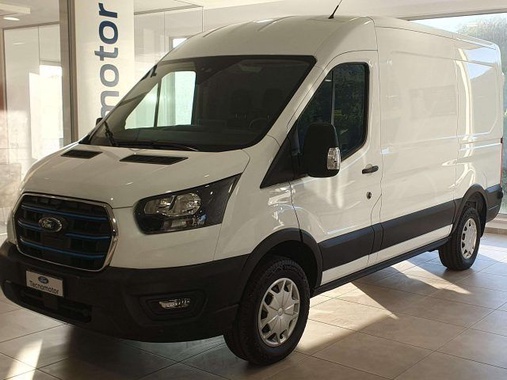 Ford Other 2024
