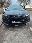 Skoda Kamiq 2022